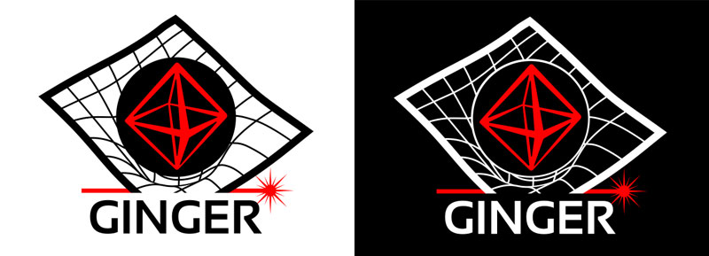 Ginger, Gyroscope in General Relativity